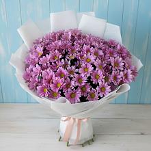 Букет цветов из:  Хризантемы #REPLACE_PRED# Татариново
