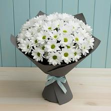 Букет цветов из:  Хризантемы #REPLACE_PRED# Татариново