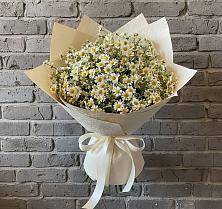 Букет цветов из:  Ромашки #REPLACE_PRED# Татариново