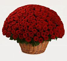 Премиум букет из: Розы #REPLACE_PRED# Татариново